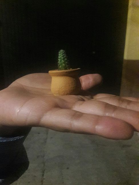 Wedding File  (elizabeth & Alejandro ❤) - 4