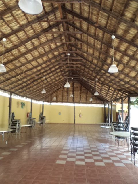 la palapa