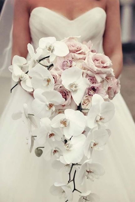 Te concedo un deseo:  Tocado 1