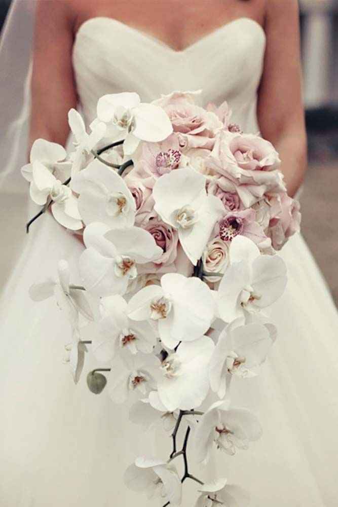 Te concedo un deseo:  Tocado - 1
