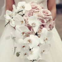 Te concedo un deseo:  Tocado - 1