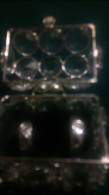 Argollas a 9 dias - 2