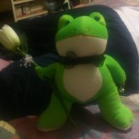 Sapito