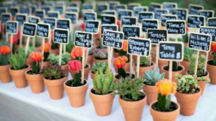  Cactus: Recuerdo de Boda - 3