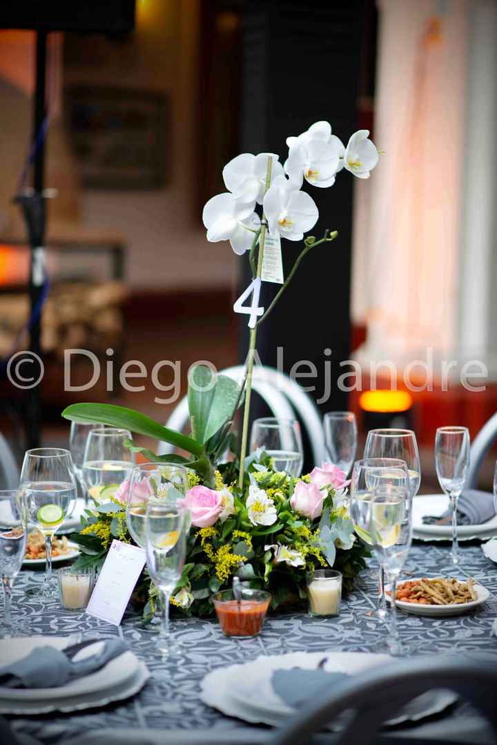 Plantas vivas como centros de mesa - 1