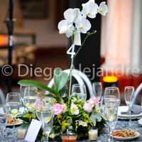 Plantas vivas como centros de mesa - 1