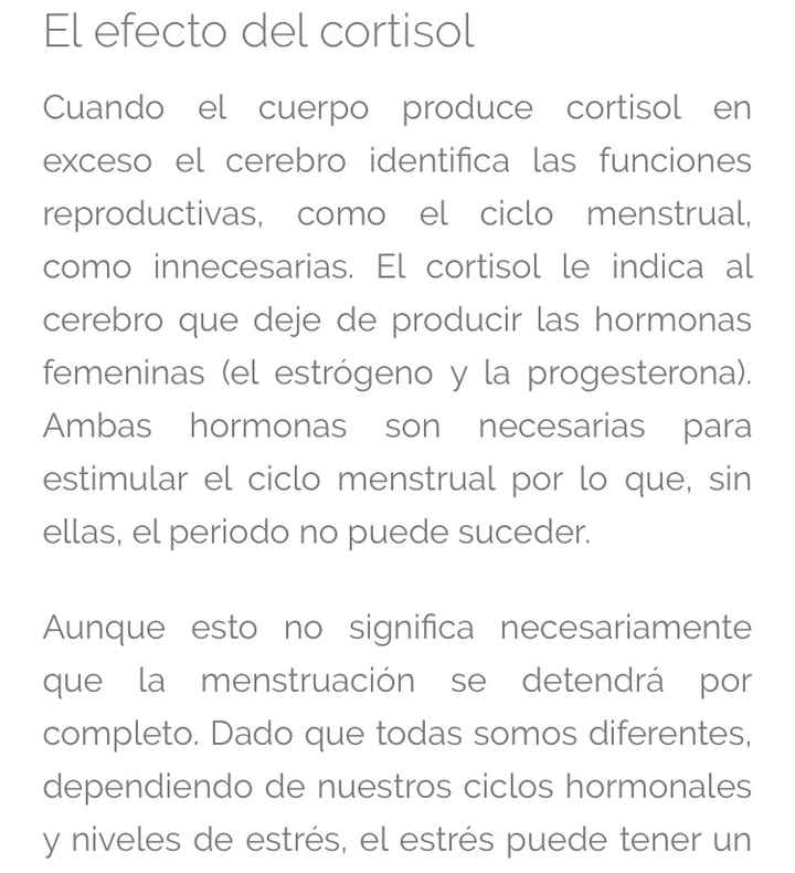 La Regla y el estrés - 1