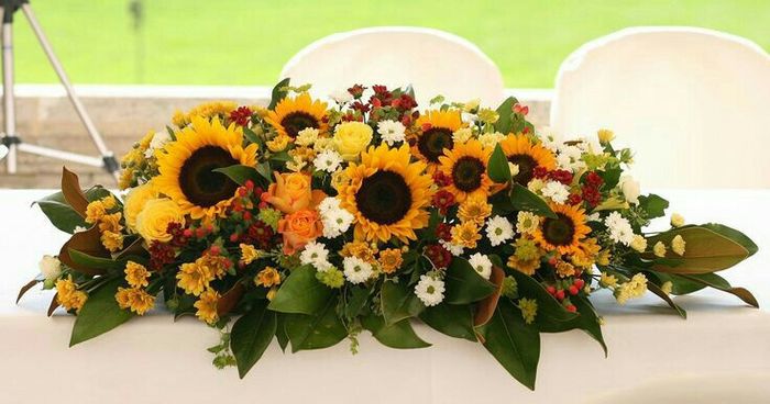 Girasoles 🌸🌻🌺 - 1