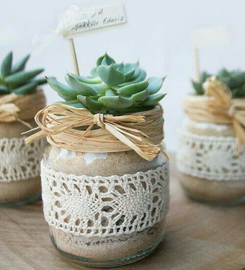 Plantas siii 🌵 - 1