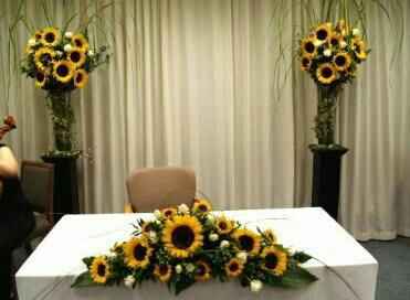 Girasoles 🌸🌻🌺 - 2