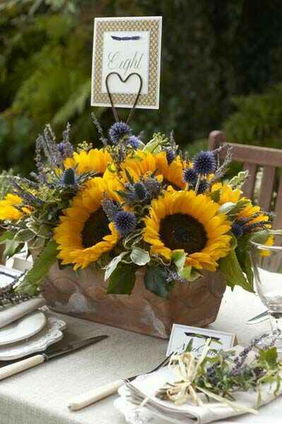 Girasoles 🌸🌻🌺 - 3