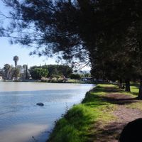 laguna
