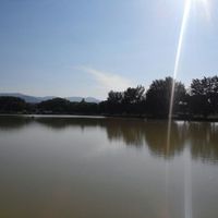 laguna