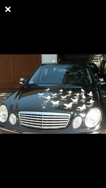 Todas van a decorar el carro? - 1