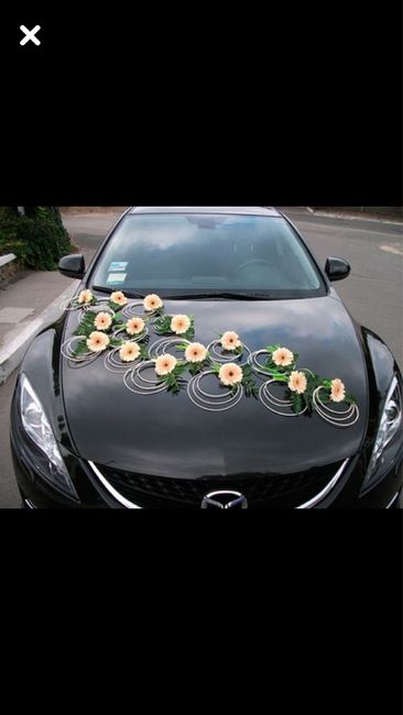 Todas van a decorar el carro? - 4