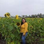 Rocio