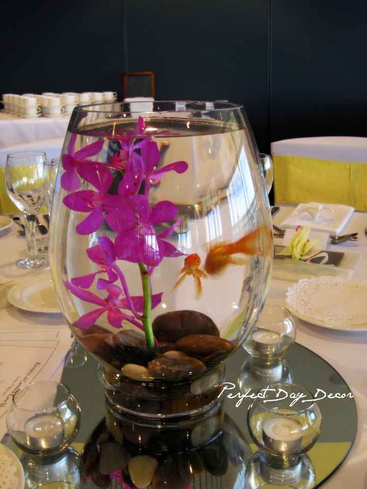 fish1