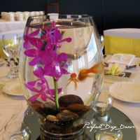 fish1