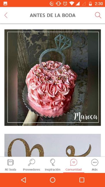 Tu despedida de soltera :el pastel - 2