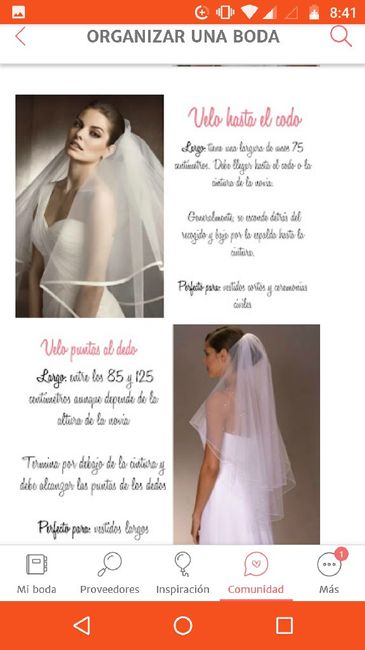 Diferentes tipos de velos según su tamaño, cortos y largos - 1
