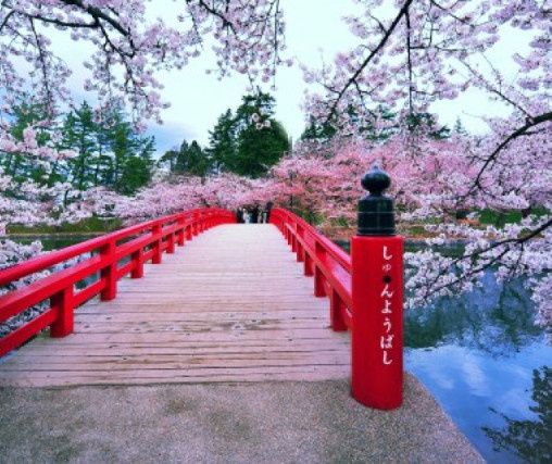 🎎mi luna de miel - fanny🎎 6