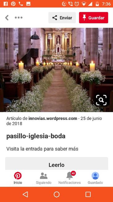 Ayuda! Que tipo de flores son las de la imagen? - 1