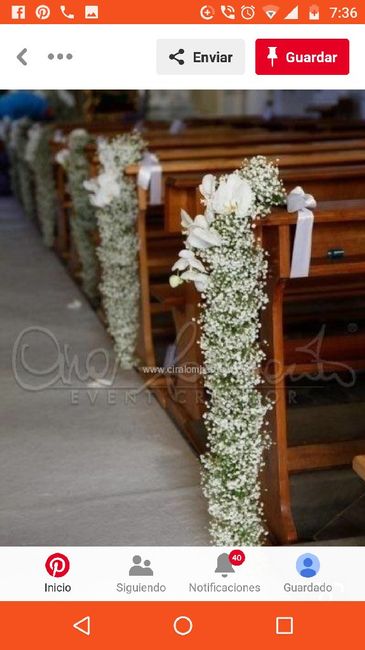 Ayuda! Que tipo de flores son las de la imagen? - 2