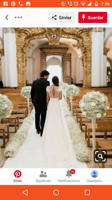 Ayuda! Que tipo de flores son las de la imagen? - 3