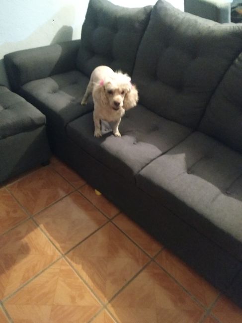 Esta muy mal tomada pero solo era para enviarsela ami hermana y presumirle xD