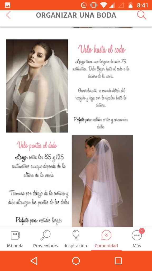 Diferentes tipos de velos según su tamaño, cortos y largos - 1