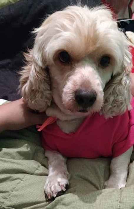 Ella es mi bebe, se llama Jasinta pero de cariño le decimos Jasi! Y aunque me hubiera encantado que 