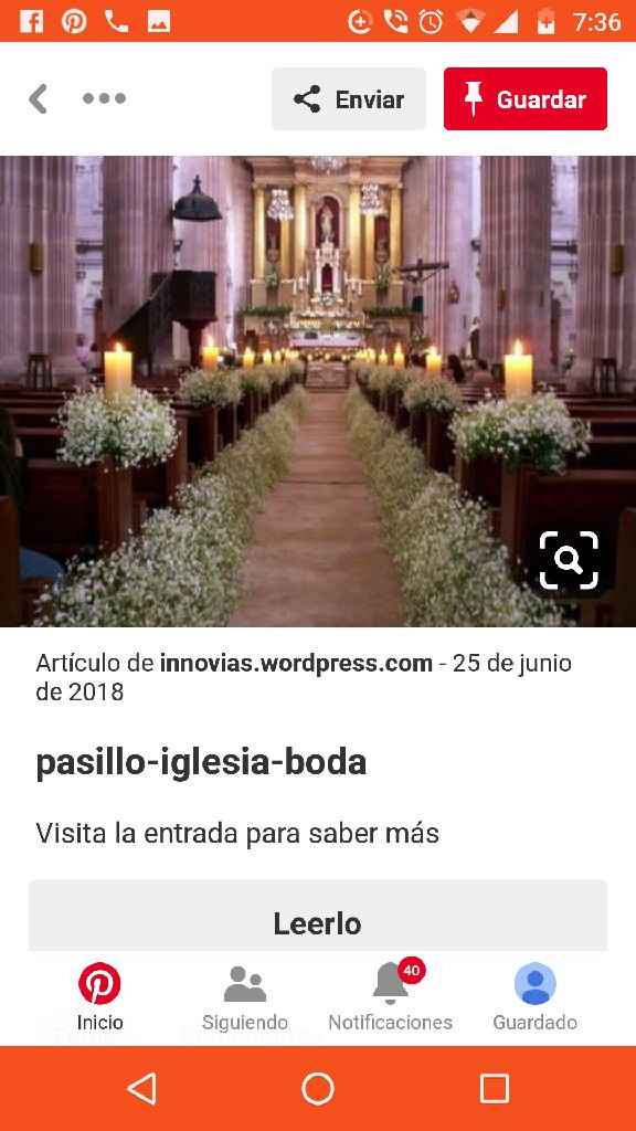 Ayuda! Que tipo de flores son las de la imagen? - 1