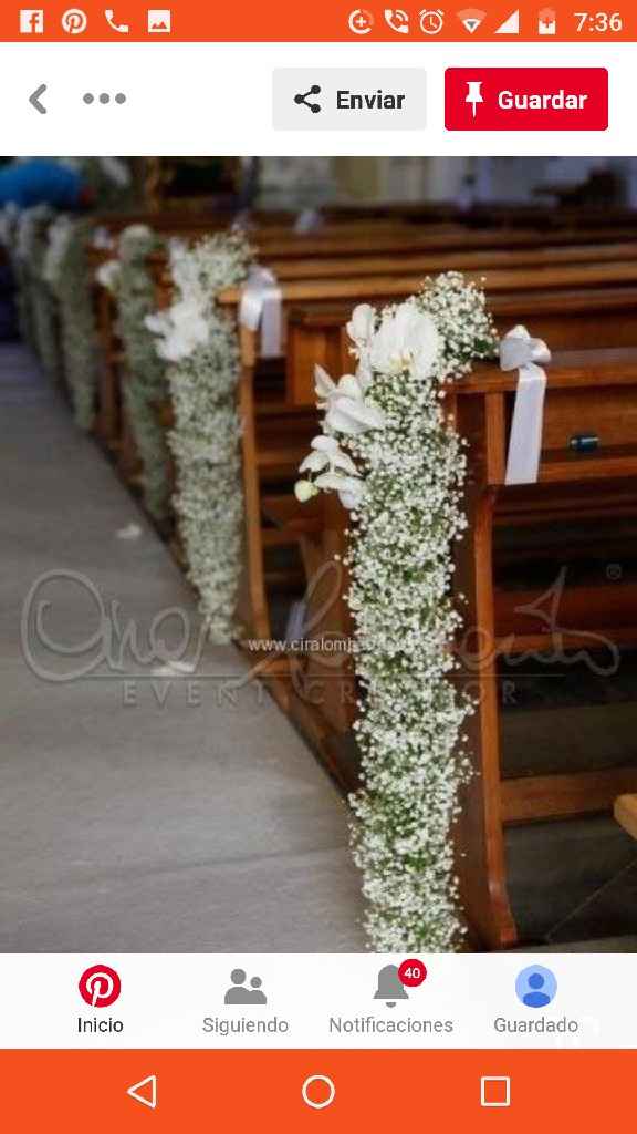 Ayuda! Que tipo de flores son las de la imagen? - 2