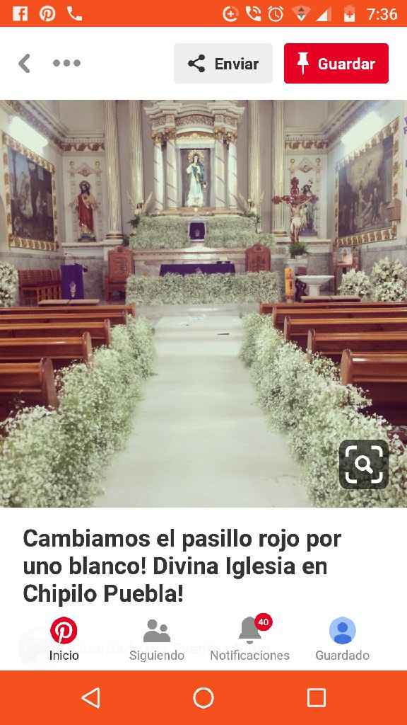 Ayuda! Que tipo de flores son las de la imagen? - 4