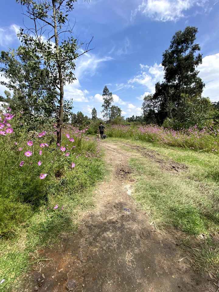 TENDENCIAS: Bodas en el campo ¿Tendrías una? 🌸 - 1