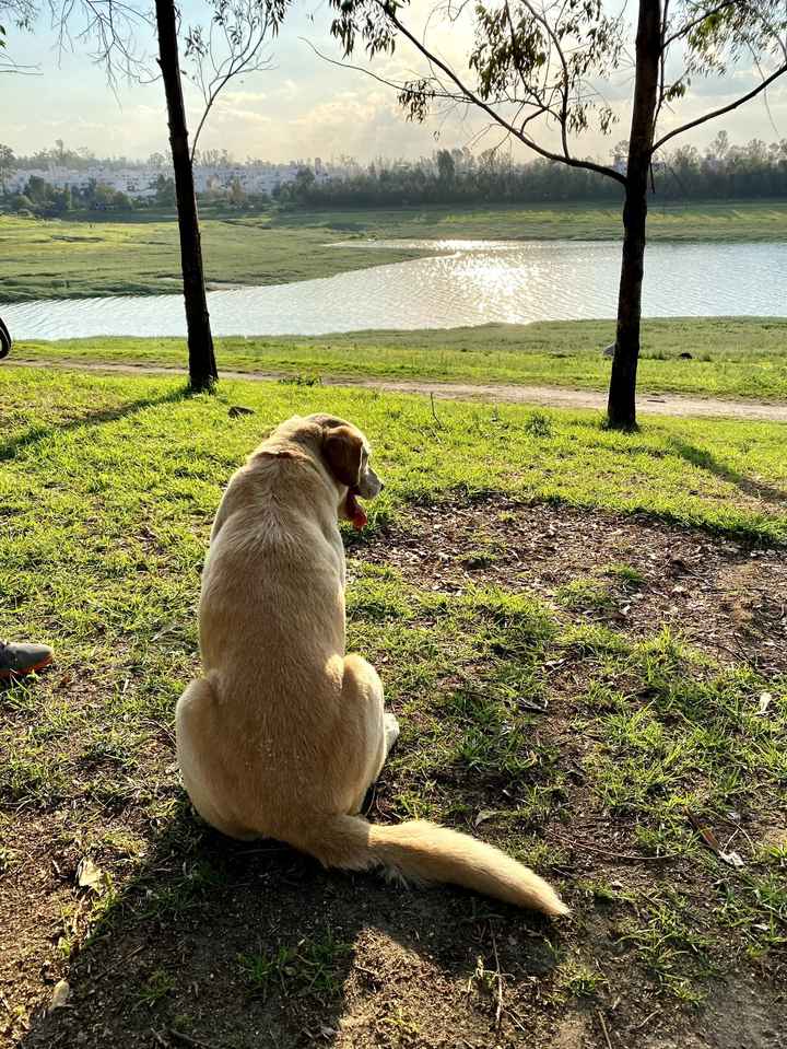 TENDENCIAS: Bodas en el campo ¿Tendrías una? 🌸 - 2