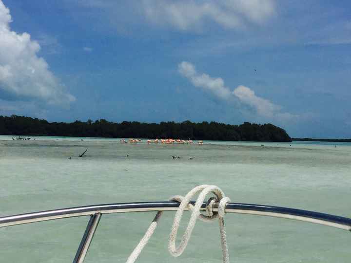 Islas Riviera Maya Luna de Miel 🍯❤️🏖️🌴🌊 - 1