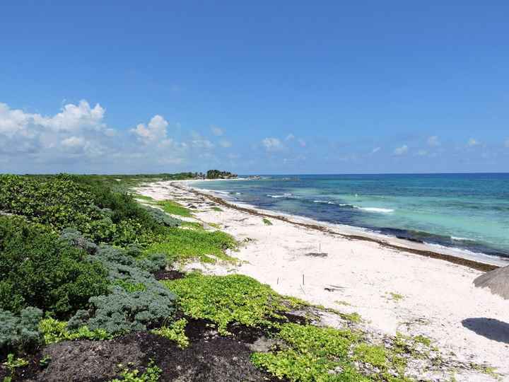 Islas Riviera Maya Luna de Miel 🍯❤️🏖️🌴🌊 - 5