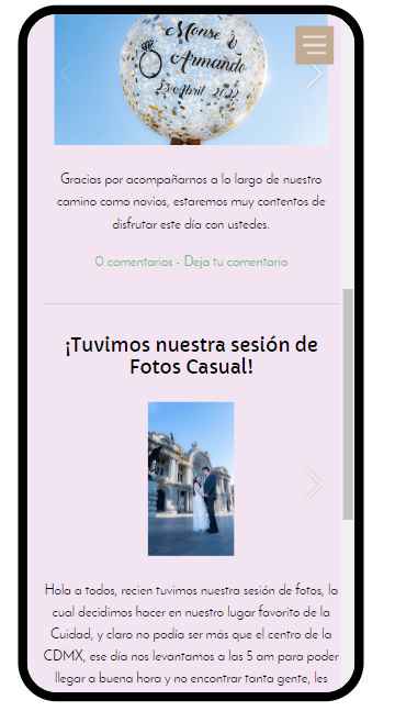 ¿Harán página web de bodas? 📱 - 2