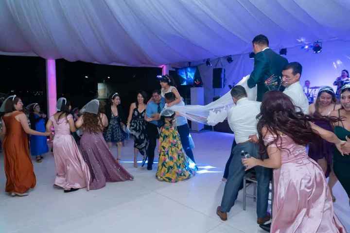 Yo nunca, nunca tendría víbora de la mar 🐍 - 1