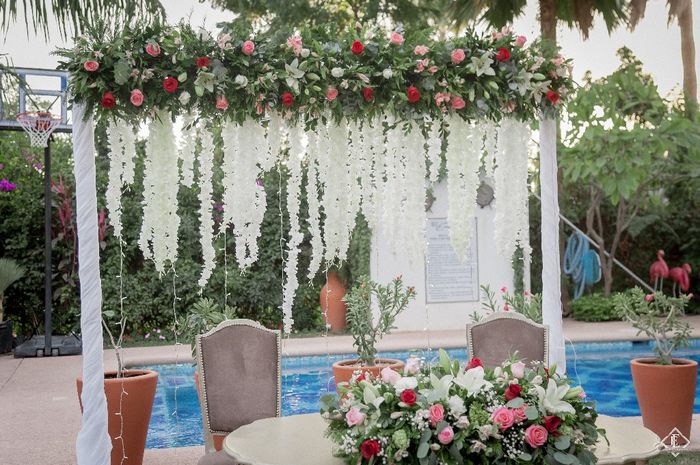 Fotografías oficiales!!! 22