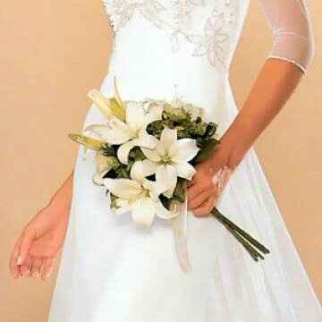 Muestren sus ramoos!!! - 1