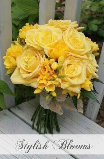 Ramos primrose yellow - 7