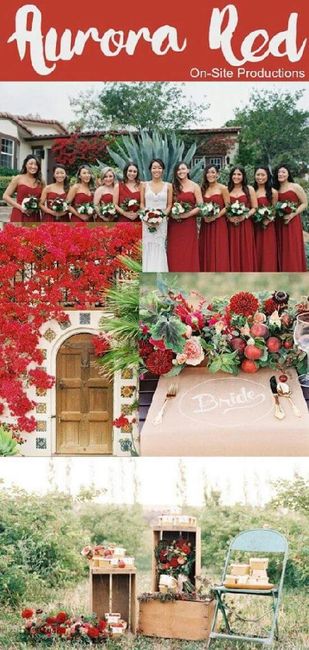 Más colores diferentes...cuál les gusta? - 4