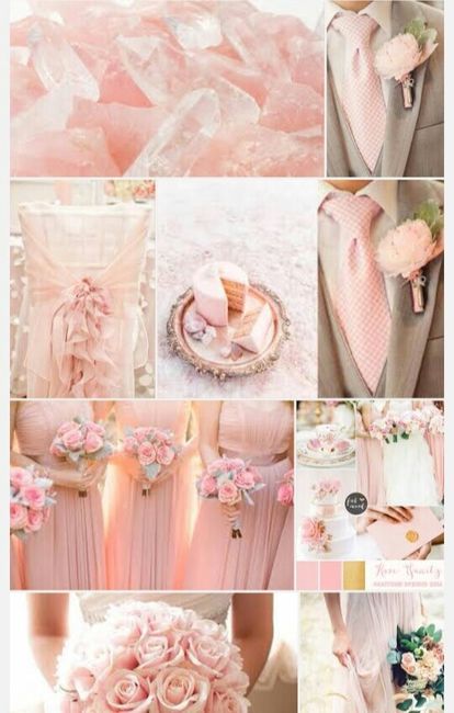 ¿ya tienen su color? - 1