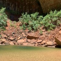 ¿Dónde te lo dio? 💍😍 - 1