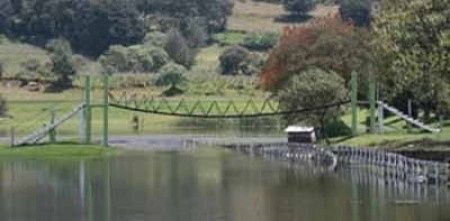 Luna de miel en el bosque