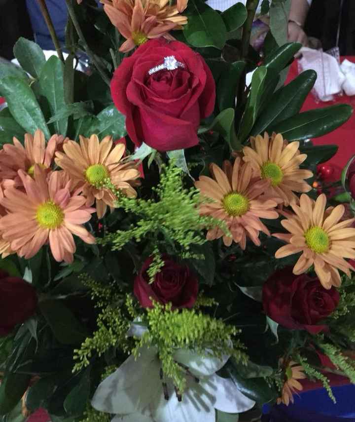 M e e n c a n t a ♥.♥