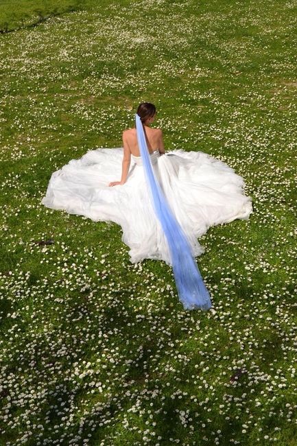 Velos de colores - 4