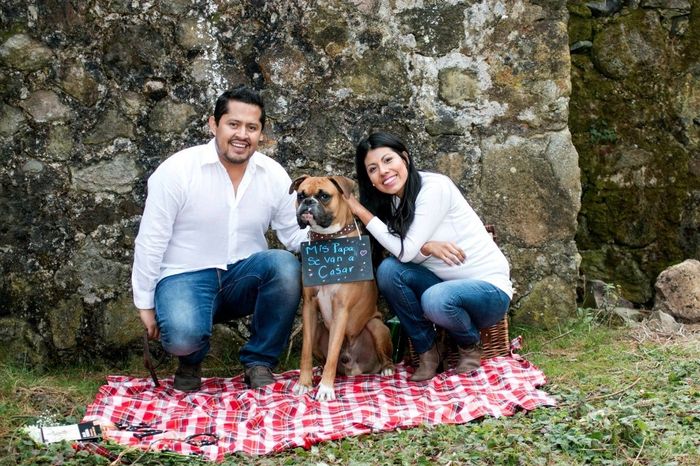 Avances a 11 dias - 14